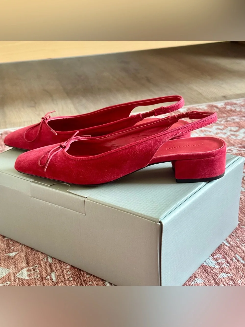 Everlane ballet slingback heel
